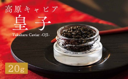 Takaharu Caviar(たかはるキャビア)『皇子』20g 特番513