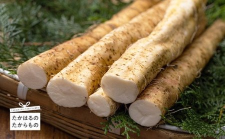 [先行受付]こだわり農法で育む高原町の自然薯(1kg)
