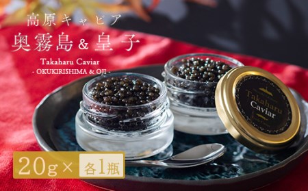 Takaharu Caviar(たかはるキャビア)贅沢2種味比べセット 特番517