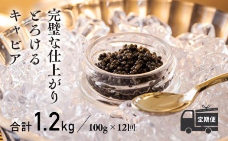 [定期便 12ヶ月]THE・CAVIAR(ザ・キャビア)100g