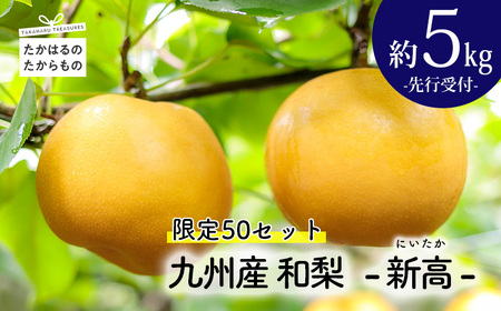 [先行受付・限定50箱]九州産 和梨「新高(にいたか)」 5kg
