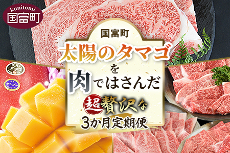 期間限定定期便 [太陽のタマゴを肉ではさんだ超贅沢な3か月定期便]2025年4月から第一回目を順次出荷[ 定期便 牛肉定期便 マンゴー定期便 宮崎県定期便 ][b0674_co]