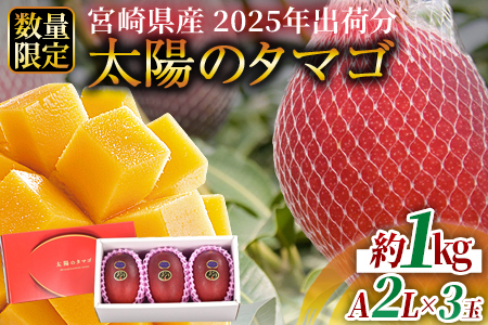 予約受付!数量限定[2025年発送][宮崎県産 太陽のタマゴ A等級 2Lサイズ×3玉(合計約1kg)]2025年4月下旬〜6月下旬迄に順次出荷[ 果物 くだもの フルーツ 太陽のタマゴ たまご 完熟マンゴー ジューシー 果汁 かんじゅく 期間限定 先行予約 ギフト 贈答用 贈答品 贈り物 ][a0694_ja]