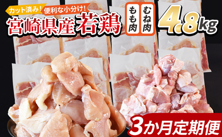 {茧Y{ؐg 4.8kgiނ˓ 300g×8  300g×8܁j3ց X܂łɏ񔭑y Zbg lߍ킹 炠 g J[ V`[ BBQ ϕ `L  