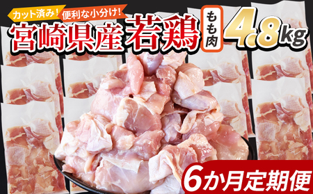 {茧Y{ؐg  4.8kgi300g×16܁j6ց X܂łɏ񔭑y 炠 g J[ V`[ BBQ ϕ `L   ܂ ٓ y Z uߕ