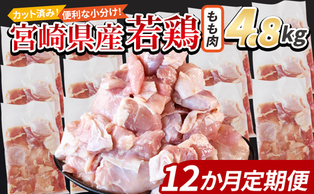 {茧Y{ؐg  4.8kgi300g×16܁j12ց X܂łɏ񔭑y 炠 g J[ V`[ BBQ ϕ `L   ܂ ٓ y Z uߕ