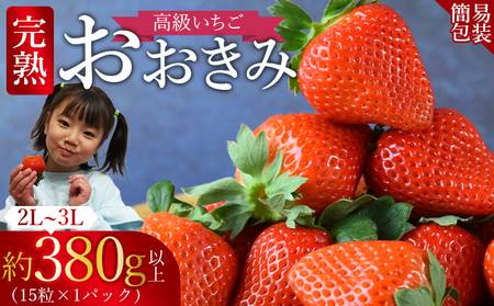 [高級いちご 「おおきみ」(15粒入り×1パック約380g以上)簡易包装]2025年1月上旬から4月末迄に順次出荷[ いちご イチゴ 苺 先行予約 甘い 大きい 果物 フルーツ 季節物 ][b0858_sn]