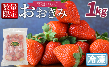 [高級いちご「おおきみ」冷凍いちご 1kg]2025年1月下旬から順次出荷[ 果物 くだもの いちご イチゴ 苺 大粒 朝どれ 朝獲れ 産地直送 お菓子づくり お菓子作り 材料 冷凍いちご 冷凍苺 冷凍イチゴ ][b0904_sn]