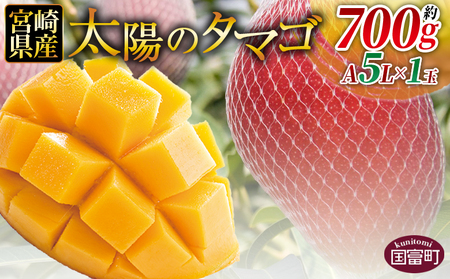 [宮崎県産 太陽のタマゴ A等級 A5Lサイズ×1玉(約700g)]2025年4月下旬〜2025年6月下旬迄に順次出荷[ 太陽のタマゴ 完熟マンゴー 完熟 マンゴー フルーツ トロピカルフルーツ 果物 くだもの おいしい 美味しい 甘い あまい ][b0912_ja]