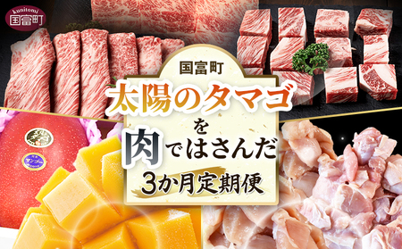 [太陽のタマゴを肉ではさんだ3か月定期便]2025年4月から順次出荷[ 定期便 宮崎牛 黒毛和牛 肩ロース肉 サイコロステーキ 牛肉 焼き肉 焼肉 スライス 太陽のタマゴ マンゴー 完熟マンゴー 若鶏 切身 切り身 鶏肉 精肉 ][b0913_co]