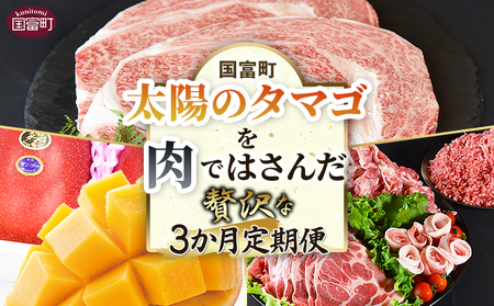 [太陽のタマゴを肉ではさんだ贅沢な3か月定期便]2025年4月から順次出荷[ 定期便 宮崎牛 黒毛和牛 ロースステーキ ロース 太陽のタマゴ マンゴー 完熟マンゴー 豚肉 セット 豚ロース 肩スライス モモスライス 切り落とし ミンチ 精肉 ][b0914_co]