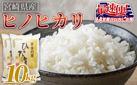 ���{�茧�Y�� �q�m�q�J�� 10kg�������m�F��A14�c�Ɠ��ȓ��ɏ����o�ׁy �R�� �� ���� ���� ���� �� �������� ���� �Ђ̂Ђ��� �{�茧 ���Y �� �������݂��� ���ɂ��� ��H �z�yb0920_su_x3�z