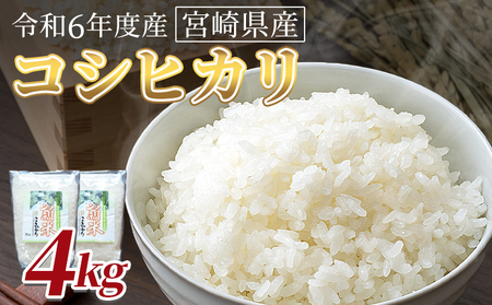 [令和6年度産 宮崎県産コシヒカリ 4kg]翌月末までに順次出荷[ 国産 米 お米 最速便 白米 精米 こしひかり ごはん ご飯 白飯 食品 ][b0841_su]