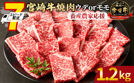 [宮崎牛 赤身焼肉 2パック(1.2kg)]7営業日以内に順次出荷[ 国産 黒毛和牛 牛肉 牛 精肉 スライス ウデ肉 モモ肉 4等級以上 ブランド牛 赤身 旨味 贈答品 ギフト 贈り物 化粧箱 焼肉 グルメ ミヤチク 宮崎県 国富町 ][b0991_my_ouen]