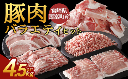 [宮崎県国富町産 豚肉バラエティセット 合計4.5kg]入金確認後、翌月末迄に順次出荷[バラエティーセット お肉 ぶた肉 小分けパック 真空パック ロース とんかつ トンカツ しゃぶしゃぶ用 小間切れ 豚こま ひき肉 挽肉 普段使い 普段の料理 精肉 ][b1069_sr]