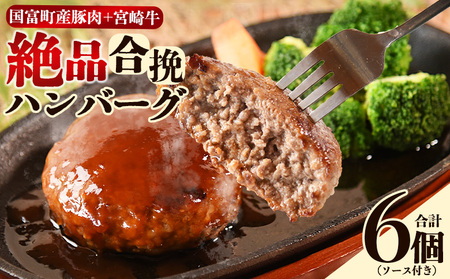 [絶品合挽ハンバーグ 6個]入金確認後、翌月末迄に順次出荷 ジューシー ソース付き [国富産 豚肉 宮崎牛 ブランド牛 合いびき 合い挽き 160g ぶたにく 牛肉 おかず 一品 焼くだけ 簡単調理 お弁当 お取り寄せ おとりよせ グルメ 贈り物 ご家庭用][b1102_mk]