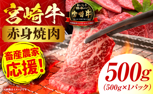 宮崎牛赤身(ウデorモモ) 焼肉 【500g】 2026年6月発送予定
