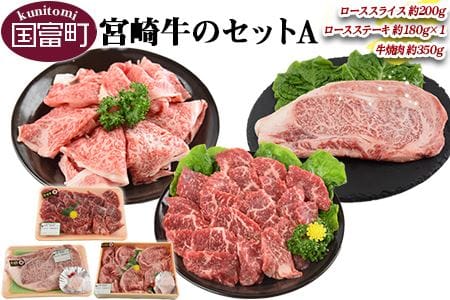 [宮崎牛のセットA]翌月末迄に順次出荷[ 牛肉 黒毛和牛 上質 和牛 お祝い ロース ロースステーキ ローススライス 焼肉 詰め合わせ 食べ比べ ][a0146_sb]