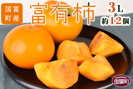 ʌI\tIxY xL` 3L×122025N11{12{ɏoׁya0256_ky_x1z