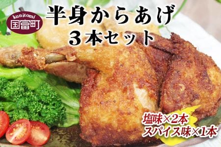 [半身からあげ3本セット(塩味×2本 スパイス味×1本)]翌月末迄に順次出荷[ 鶏肉 唐揚げ 米粉 クリスマス 食べ比べ ][a0031_hi]