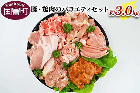 [豚・鶏肉のバラエティセット(重量約3.0kg)]翌月末迄に順次出荷[ 豚肉と鶏肉のセット 国産豚肉 国産 豚 肉 鶏 肉 若鶏 焼肉用 やきにく用 唐揚げ とりにく 揚げ物 唐揚げ からあげ から揚げ 宮崎県産 宮崎県産 豚肉スライス みそ漬け 豚ロース とんかつ 豚こま切れ 豚こま 豚小間 生姜 生姜焼 ][a0143_sb]