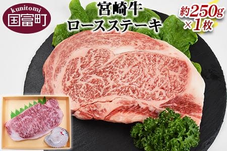 [宮崎牛ロースステーキ約250g]翌月末迄に順次出荷[a0145_sb]