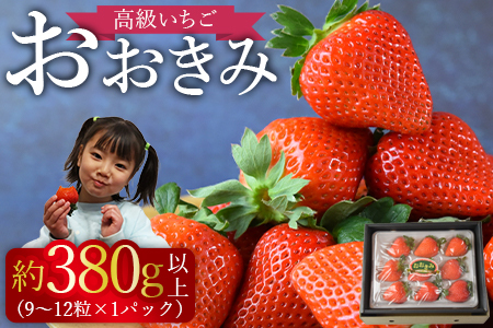 [高級いちご「おおきみ」(9〜12粒×1パック約380g以上)化粧箱入り]2025年1月上旬〜4月末迄に順次出荷[ いちご イチゴ 苺 先行予約 甘い 大きい 果物 フルーツ 季節物 ][a0283_sn_x1]