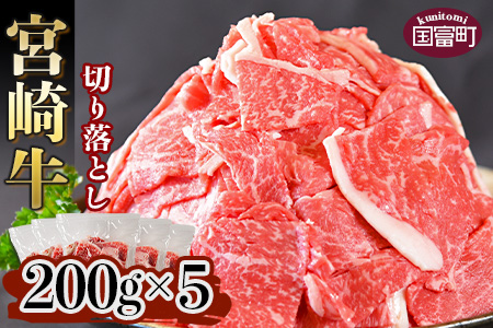 {苍 ؂藎Ƃ v1kgi200g×5jɏoׁya0331_tyz