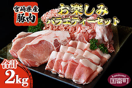 [宮崎県産豚肉 [お楽しみ]バラエティーセット 合計2.0k]翌月末迄に順次出荷[ 豚肉 スライス 豚ロース 豚小間 こま切れ 豚ミンチ セット 小分け とんかつ 生姜焼き ハンバーグ 食べて応援 食べ比べ 国産 ][a0387_ty]