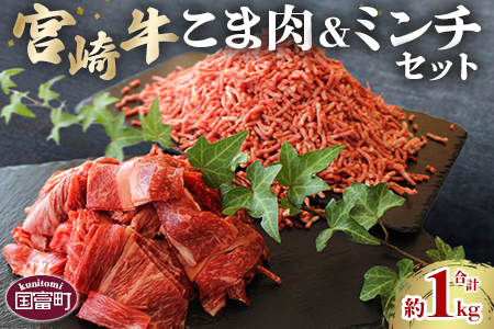 [宮崎牛こま肉(約400g)&宮崎牛ミンチ(約600g)セット 合計約1kg]2か月以内に順次出荷[a0506_sh]