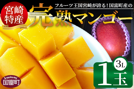 期間限定！＜宮崎特産！国富町産の完熟マンゴー 1玉（3L）＞2026年3月下旬～6月下旬迄に順次出荷【a0593_as】