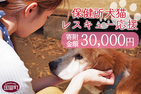 [保健所犬猫レスキュー[返礼品なしのご寄附]]寄付金額30,000円※お礼状をお送りいたします。[a0623_in]