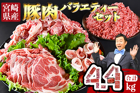 [宮崎県産豚肉 バラエティーセット4.4kg]翌月末迄に順次出荷[ 肉 豚肉 国産豚肉 九州産豚肉 宮崎県産豚肉 豚肉 大容量 豚肉 バラエティー豚肉 豚肉 豚ロース 豚モモ 豚ミンチ 豚こま 肉 ][a0629_ty]