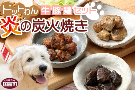 [愛犬用 ドットわん 炎の炭火焼き 牛豚鶏セット]翌月末迄に順次出荷[b0638_pb]