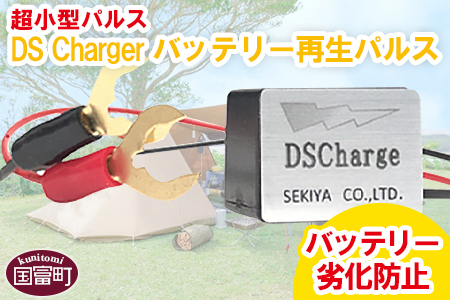 ＜超小型パルス DS Chargerバッテリー再生パルス＞2か月以内に順次出荷【a0606_sk】