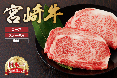 {苍 [X Xe[L 2 500   Y  uh Mtg 蕨 B { ~
