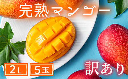 【訳あり】完熟マンゴー 2L×5玉（パック）【宮崎県産 高級 果物 フルーツ 贈答 ギフト 訳あり マンゴー 訳アリ 先行受付 送料無料】