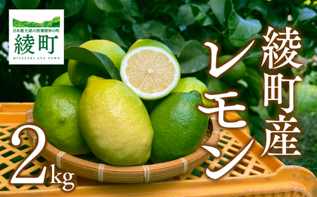 綾町産のレモン 2kg