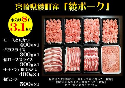 綾ポークバラエティー3.1kg(小分け8パック)セット(0057-019)