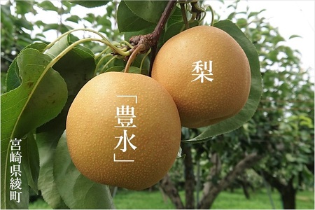 秋初め和梨「豊水」