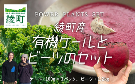 綾町産有機ケール 300g&ビーツ 1.2kg[おすすめレシピ付き]