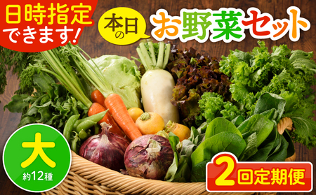 [2回定期便]日時指定OK!本日のお野菜セット (大サイズ/約12種) 4人以上用 / 新鮮野菜 定期便 産地直送 季節のおまかせ 詰め合わせ セット 有機栽培 果物 きのこ類 サラダ やさい 2ヵ月 送料無料 [オーガニックまち 宮崎県綾町]