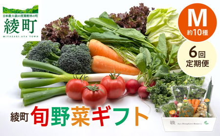 【６回定期便】綾町旬野菜ギフト（Mサイズ / 約10種）2～3人分 / 産地直送 野菜セット 野菜詰め合わせ 定期便 新鮮野菜 野菜 定期便 有機栽培 採れたて 野菜 定期便 送料無料 【オーガニックのまち 宮崎県綾町】