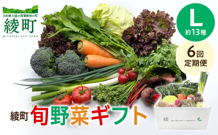 【６回定期便】綾町旬野菜ギフト（Lサイズ / 約13種）4人以上分 / 産地直送 野菜セット 野菜詰め合わせ 定期便 新鮮野菜 野菜 定期便 有機栽培 採れたて 野菜 定期便 送料無料 【オーガニックのまち 宮崎県綾町】