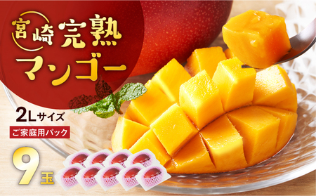 完熟マンゴー ２L×９玉（パック）【濃厚 宮崎 高級 果物 フルーツ 贈答 ギフト 甘い 送料無料 先行受付】