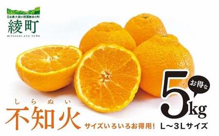 [先行予約] 不知火 サイズいろいろ お得な5kg[みかん しらぬい 不知火 フルーツ 柑橘 蜜柑 果物 くだもの 宮崎 綾町]