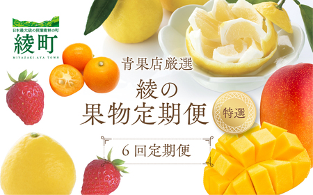 [全6回お届け]特選!!宮崎県綾町産 果物定期便 [Y22]
