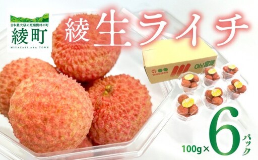 【数量限定】希少 綾生ライチ お裾分けセット [６パック] 宮崎県 綾町産 ライチ 国産ライチ 果物 フルーツ 生ライチ 産地直送 期間限定 送料無料 お中元 小分け 送料無料【JA綾町】_A0114-1051