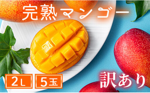 【訳あり】完熟マンゴー 2L×5玉（パック）【濃厚 高級 宮崎 果物 フルーツ 贈答 ギフト 甘い 先行受付 送料無料】【JA綾町】_A0114-1081