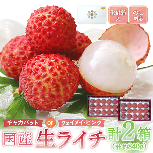 [先行予約]希少 綾生ライチ 2箱セット(化粧箱入り) / 宮崎県産 ライチ 国産[JA綾町]